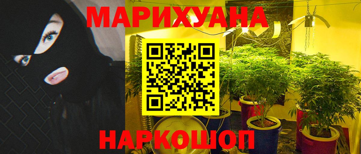 МАРИХУАНА планчик Краснодар